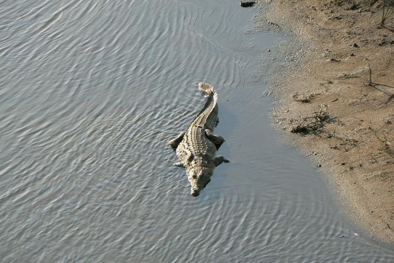 11 REGIONE DEL MPUMALANGA Parco Kruger